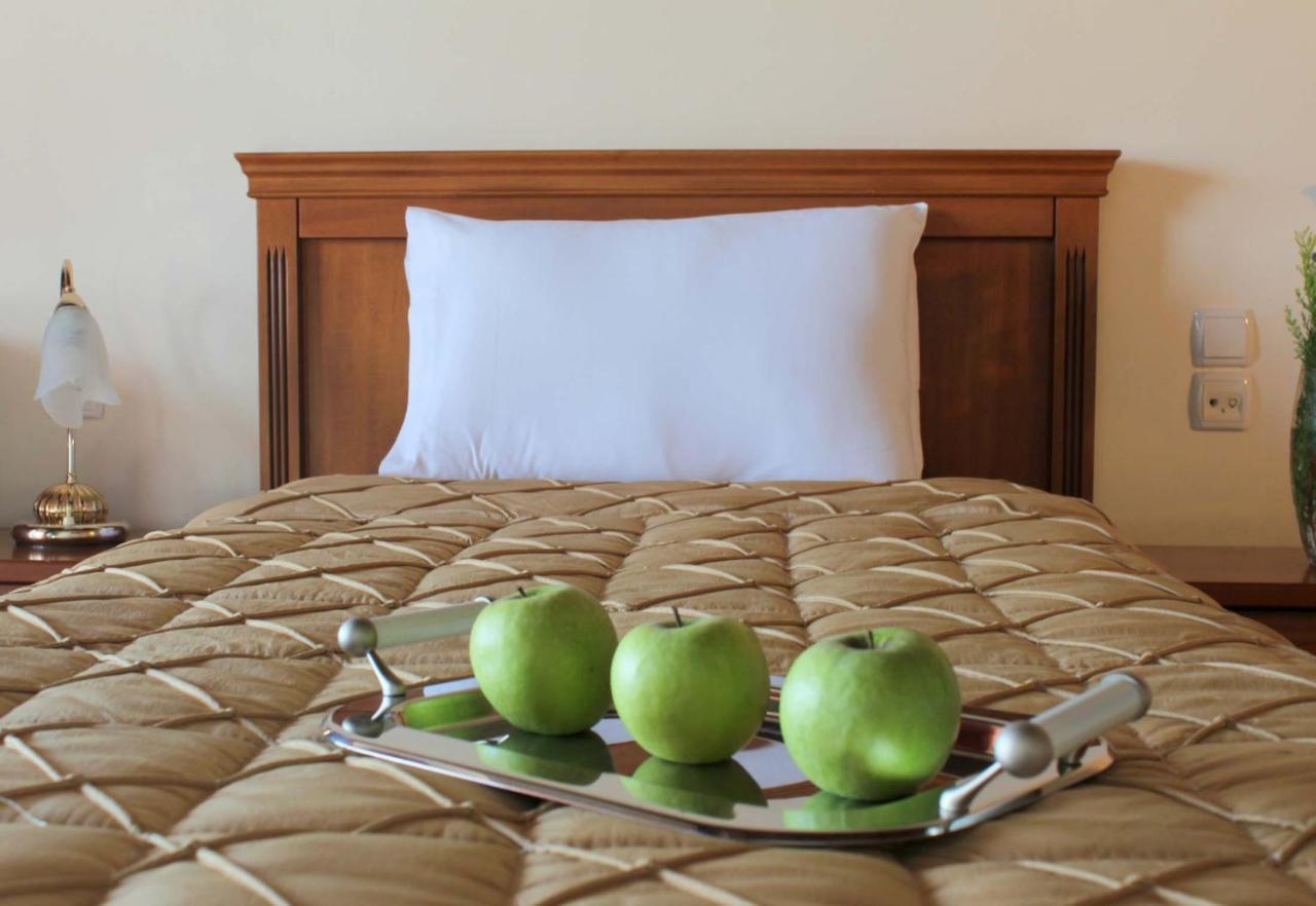 Famissi Eden Hotel Kalambáka Kültér fotó