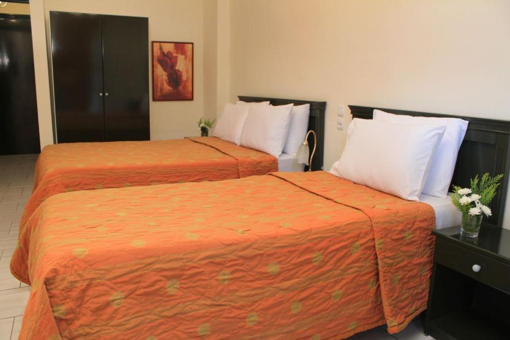 Famissi Eden Hotel Kalambáka Szoba fotó