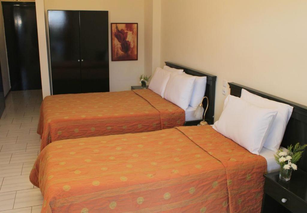 Famissi Eden Hotel Kalambáka Szoba fotó